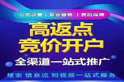 SEM竞价优化案例：品牌曝光与转化双提升